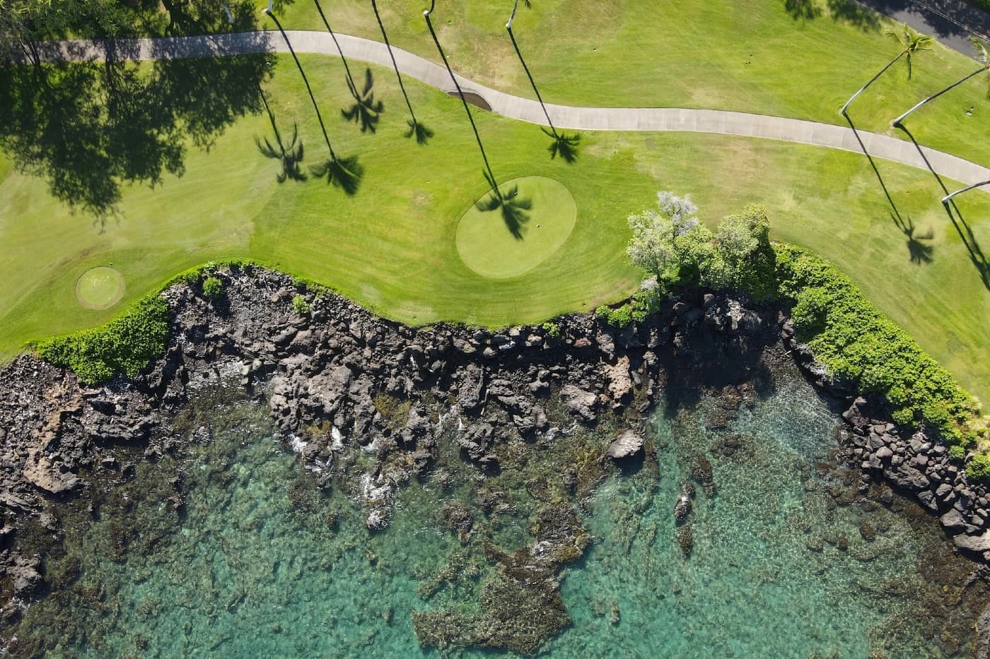 hawaii golfpálya felülnézetből pálmafákkal és óceánnal